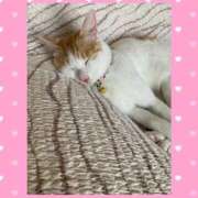 ヒメ日記 2025/09/20 10:05 投稿 工藤 なつき(クドウ ナツキ) 翡翠の夢