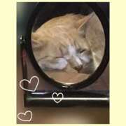 ヒメ日記 2025/09/20 13:15 投稿 工藤 なつき(クドウ ナツキ) 翡翠の夢