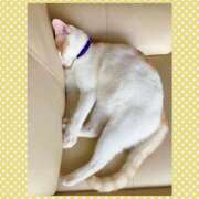 ヒメ日記 2025/09/21 12:15 投稿 工藤 なつき(クドウ ナツキ) 翡翠の夢