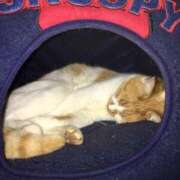 ヒメ日記 2025/09/27 11:25 投稿 工藤 なつき(クドウ ナツキ) 翡翠の夢