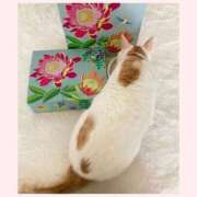 ヒメ日記 2025/09/28 12:25 投稿 工藤 なつき(クドウ ナツキ) 翡翠の夢