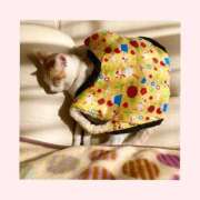 ヒメ日記 2025/10/05 13:05 投稿 工藤 なつき(クドウ ナツキ) 翡翠の夢