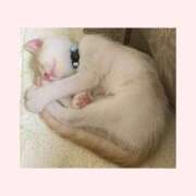 ヒメ日記 2025/10/18 11:05 投稿 工藤 なつき(クドウ ナツキ) 翡翠の夢