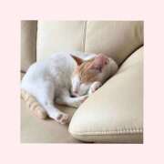 ヒメ日記 2025/10/25 11:15 投稿 工藤 なつき(クドウ ナツキ) 翡翠の夢