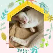 ヒメ日記 2025/11/02 13:45 投稿 工藤 なつき(クドウ ナツキ) 翡翠の夢