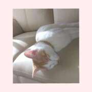 ヒメ日記 2025/11/09 13:25 投稿 工藤 なつき(クドウ ナツキ) 翡翠の夢