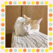 ヒメ日記 2025/11/15 11:35 投稿 工藤 なつき(クドウ ナツキ) 翡翠の夢