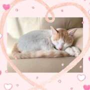 ヒメ日記 2025/11/15 11:40 投稿 工藤 なつき(クドウ ナツキ) 翡翠の夢