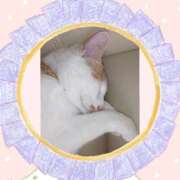 ヒメ日記 2025/11/16 15:25 投稿 工藤 なつき(クドウ ナツキ) 翡翠の夢