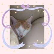 ヒメ日記 2025/11/22 11:17 投稿 工藤 なつき(クドウ ナツキ) 翡翠の夢