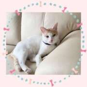 工藤 なつき(クドウ ナツキ) お気をつけてお越しくださいませ🌸 翡翠の夢