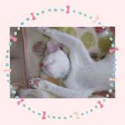 工藤 なつき(クドウ ナツキ) ありがとうございました😊 翡翠の夢