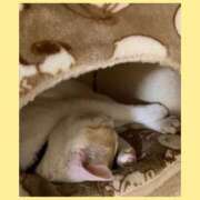 工藤 なつき(クドウ ナツキ) 😊 翡翠の夢