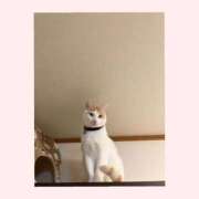 工藤 なつき(クドウ ナツキ) 心よりお待ちしております😊 翡翠の夢