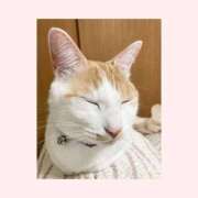 ヒメ日記 2025/12/13 10:45 投稿 工藤 なつき(クドウ ナツキ) 翡翠の夢