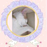 ヒメ日記 2025/12/14 11:25 投稿 工藤 なつき(クドウ ナツキ) 翡翠の夢