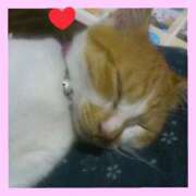 ヒメ日記 2025/12/28 13:45 投稿 工藤 なつき(クドウ ナツキ) 翡翠の夢