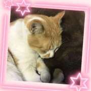 ヒメ日記 2026/01/18 22:05 投稿 工藤 なつき(クドウ ナツキ) 翡翠の夢