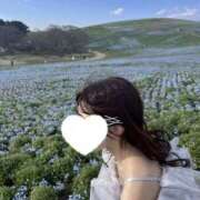 ヒメ日記 2025/10/15 15:10 投稿 さくら 宇都宮発～正統派清楚系デリヘル！ CHERIMO（シェリモ）