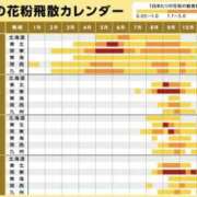 ヒメ日記 2025/09/24 10:12 投稿 さく モアグループ 土浦人妻花壇