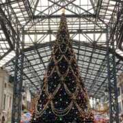 ヒメ日記 2025/12/24 10:33 投稿 さく モアグループ 土浦人妻花壇