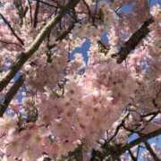 ヒメ日記 2025/09/09 19:54 投稿 なおこ 美熟女倶楽部Hip's 春日部店