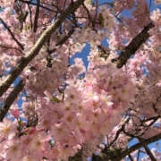 ヒメ日記 2025/09/14 14:07 投稿 なおこ 美熟女倶楽部Hip's 春日部店