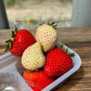 ヒメ日記 2026/03/03 13:03 投稿 ゆま ハピネス札幌