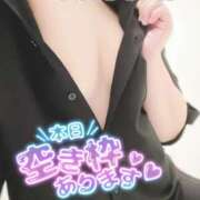 ヒメ日記 2026/03/14 10:12 投稿 なごみ 池袋人妻城