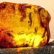 ヒメ日記 2025/10/14 12:00 投稿 こはく S級鑑定団