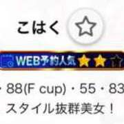 こはく お？ S級鑑定団