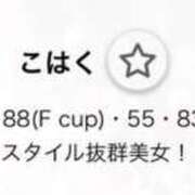 こはく ごめんなさい S級鑑定団