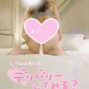 こはく こはく出勤しました🫡 S級鑑定団
