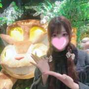 ヒメ日記 2026/03/16 12:42 投稿 るか 萌えカワ