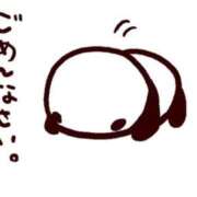 ヒメ日記 2026/06/16 11:12 投稿 るか 萌えカワ