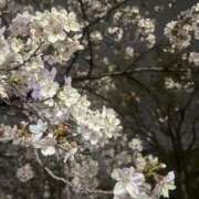 ヒメ日記 2026/03/31 12:04 投稿 たお コスプレ痴漢電車