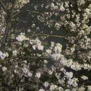 ヒメ日記 2026/04/02 20:15 投稿 たお コスプレ痴漢電車