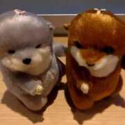 ヒメ日記 2025/09/19 17:54 投稿 羽田真希 ハールブルク