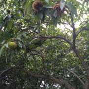 ヒメ日記 2025/09/20 21:34 投稿 羽田真希 ハールブルク