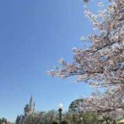 ヒメ日記 2026/04/18 12:19 投稿 まゆ おクンニ学園 横浜関内校