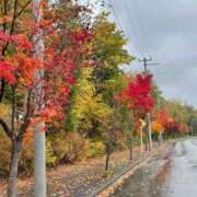 ヒメ日記 2025/10/27 07:23 投稿 天海　ゆう マダム美林　札幌店