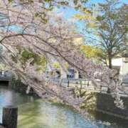 ヒメ日記 2026/04/04 14:30 投稿 七宮あさ メイドin中野（東京ハレ系）