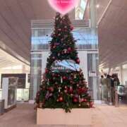 ヒメ日記 2025/12/11 13:40 投稿 さら 性腺熟女100％鶯谷（デリヘル市場）