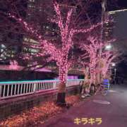 ヒメ日記 2026/01/17 15:20 投稿 さら 性腺熟女100％鶯谷（デリヘル市場）