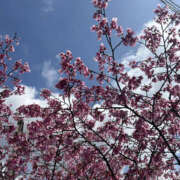 さら ありがとう 性腺熟女100％鶯谷（デリヘル市場）