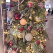 ヒメ日記 2025/11/26 09:55 投稿 さら 性腺熟女100％（デリヘル市場）