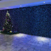 さら ありがとう 性腺熟女100％（デリヘル市場）