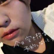 ヒメ日記 2025/10/17 01:37 投稿 みぞれ 丸妻 新横浜店