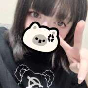 ヒメ日記 2025/11/11 03:02 投稿 さくら E+アイドルスクール品川店