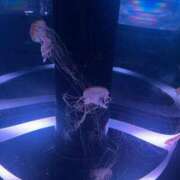 ヒメ日記 2026/02/04 20:58 投稿 りず クラスメイト